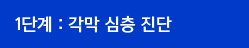 1단계 : 각막심층진단